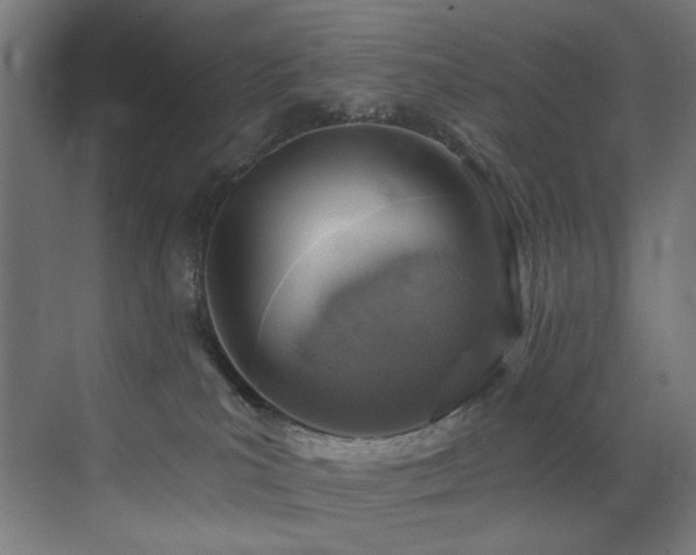 X0000072980039200607211301