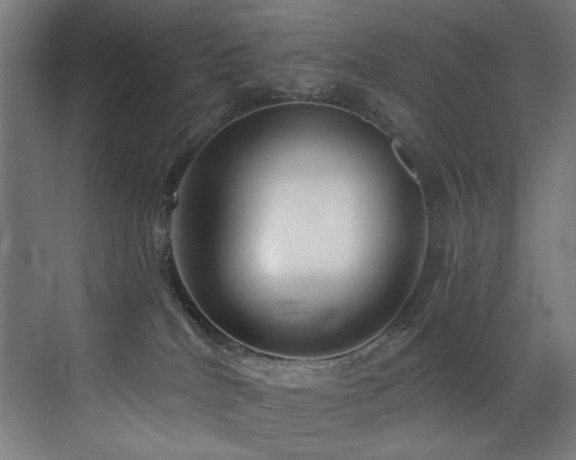 X0000072980040200607211301