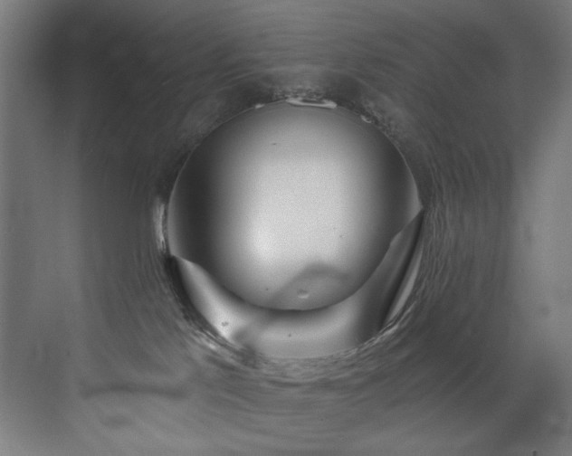 X0000072980041200607211301