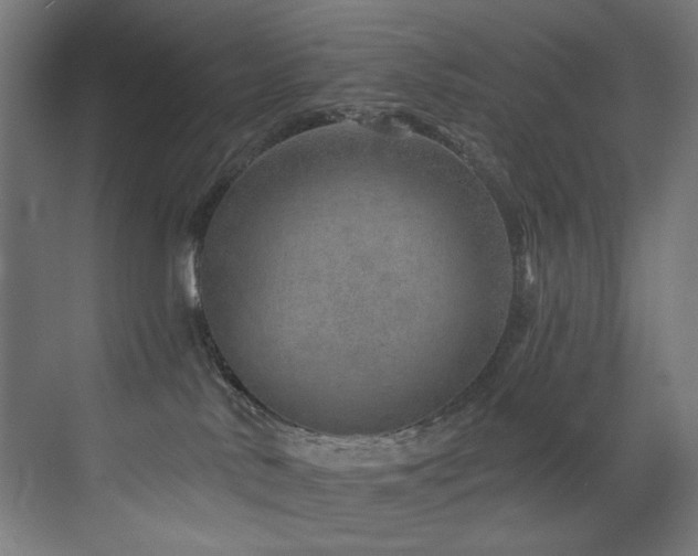 X0000072980042200607211301