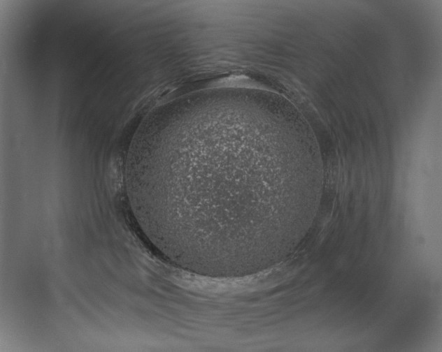X0000072980043200607211301