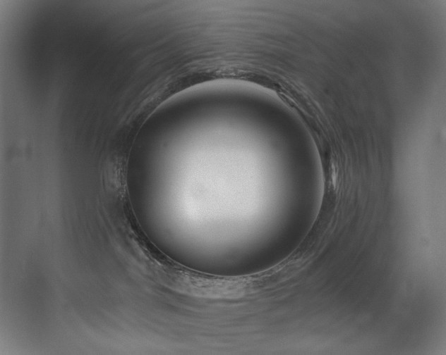 X0000072980044200607211301