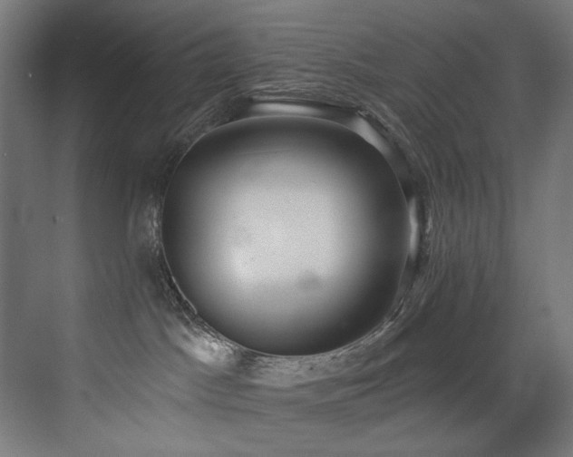 X0000072980045200607211301