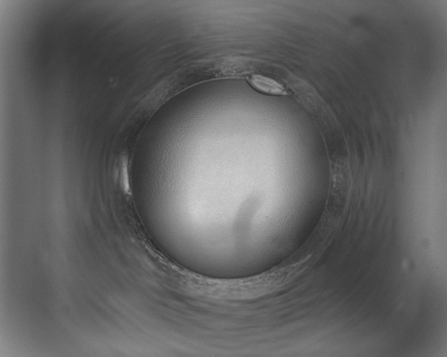 X0000072980046200607211301