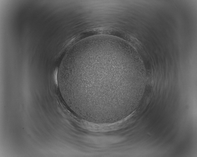 X0000072980047200607211301