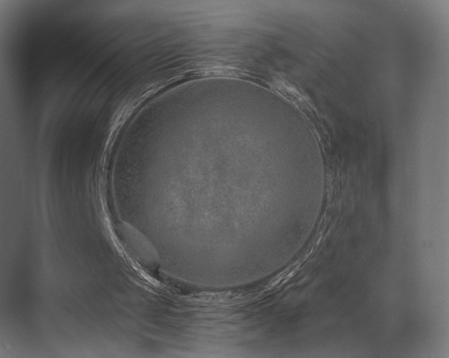 X0000072980049200607211300