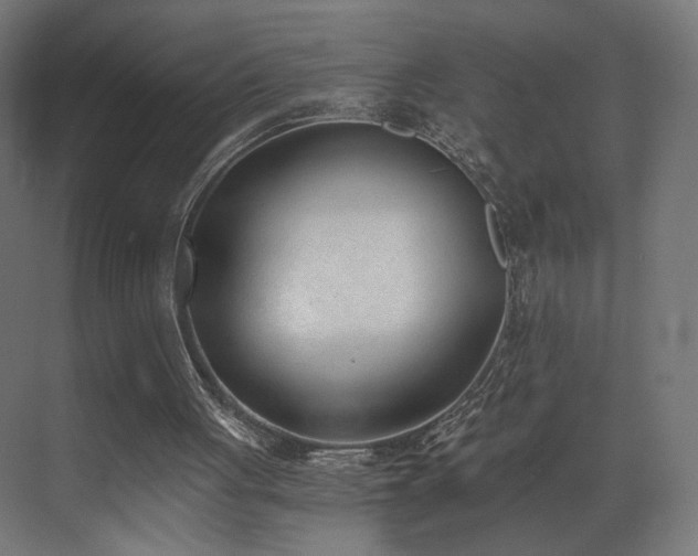 X0000072980051200607211300