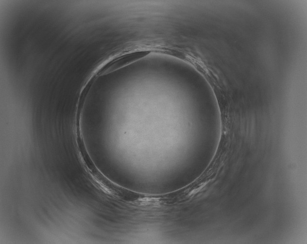 X0000072980052200607211300