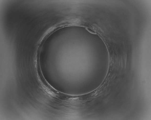 X0000072980054200607211300