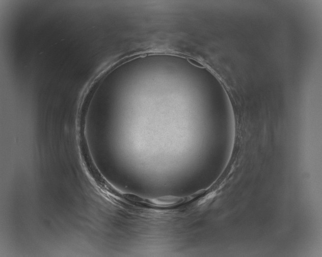 X0000072980055200607211300