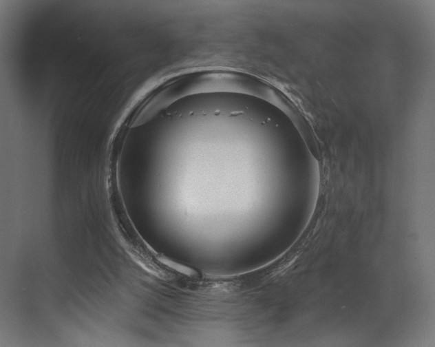 X0000072980056200607211300