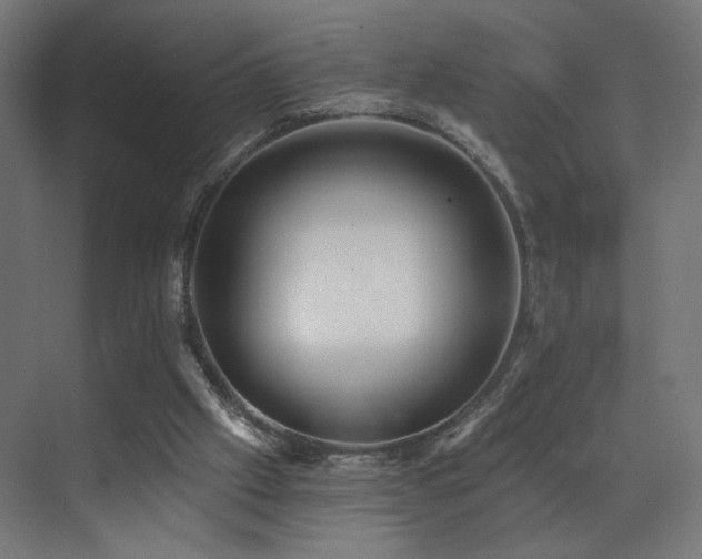 X0000072980057200607211300