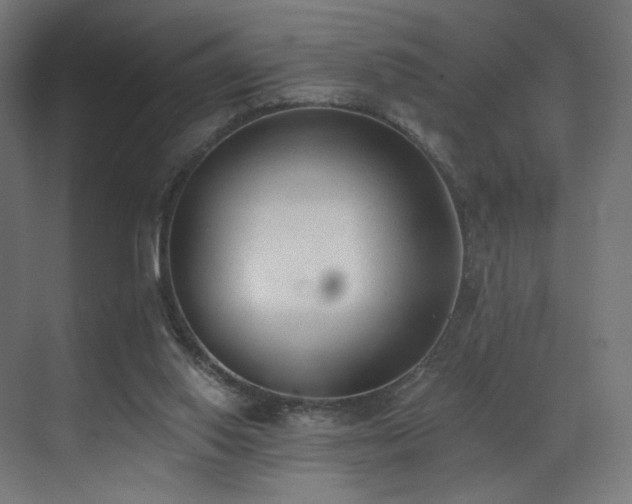 X0000072980062200607211300