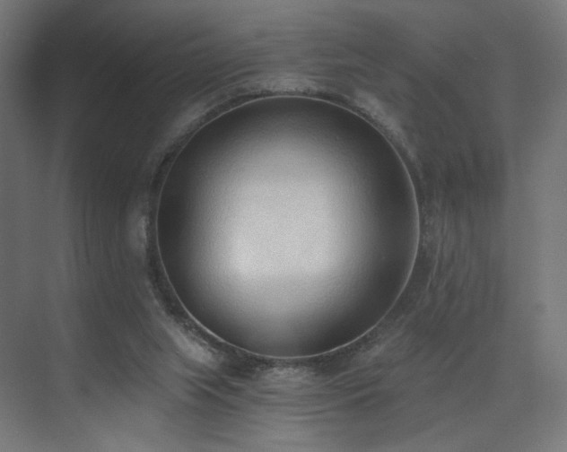 X0000072980063200607211300