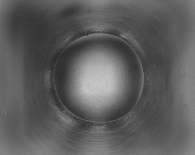 X0000072980066200607211300