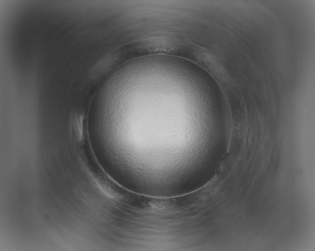 X0000072980070200607211300