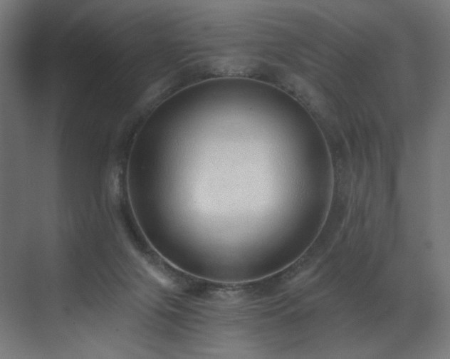 X0000072980071200607211300