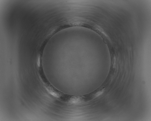 X0000072980076200607211300