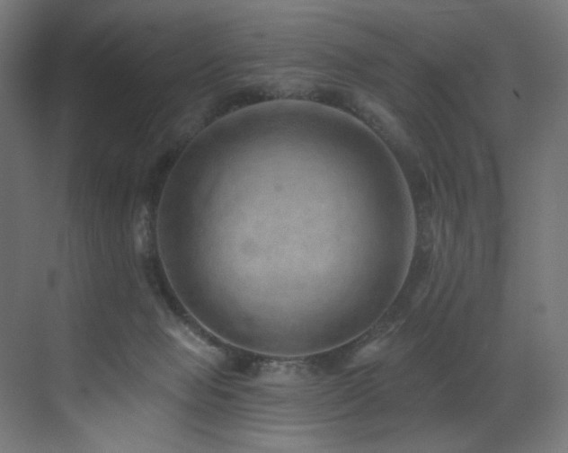 X0000072980077200607211300