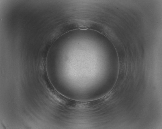 X0000072980078200607211300