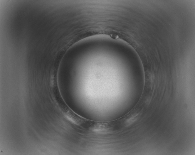 X0000072980080200607211300