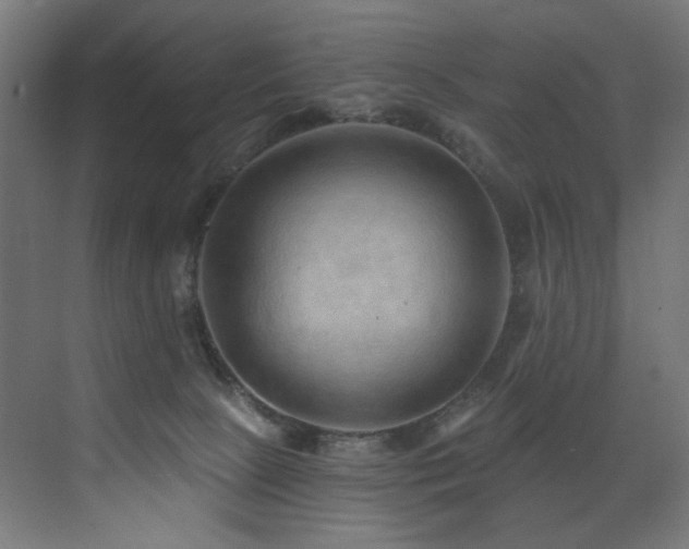 X0000072980081200607211300