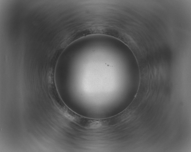 X0000072980083200607211300