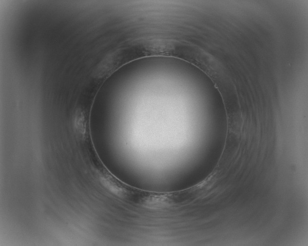 X0000072980086200607211300
