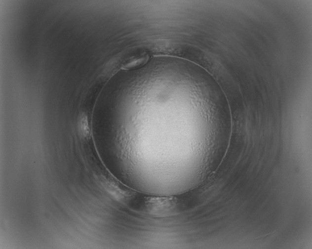 X0000072980089200607211300