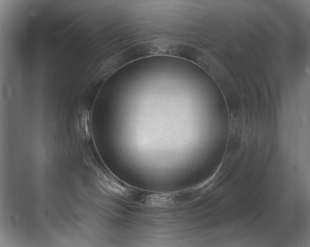 X0000072980094200607211300