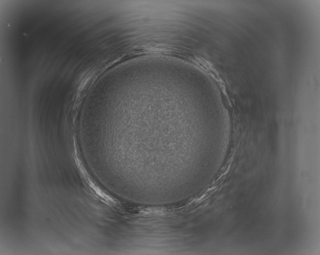 X0000072980097200607211300