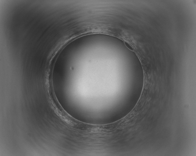 X0000072980098200607211300