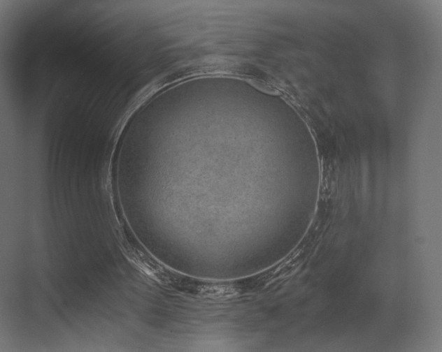 X0000072980099200607211300