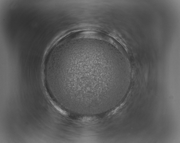 X0000072980101200607211300