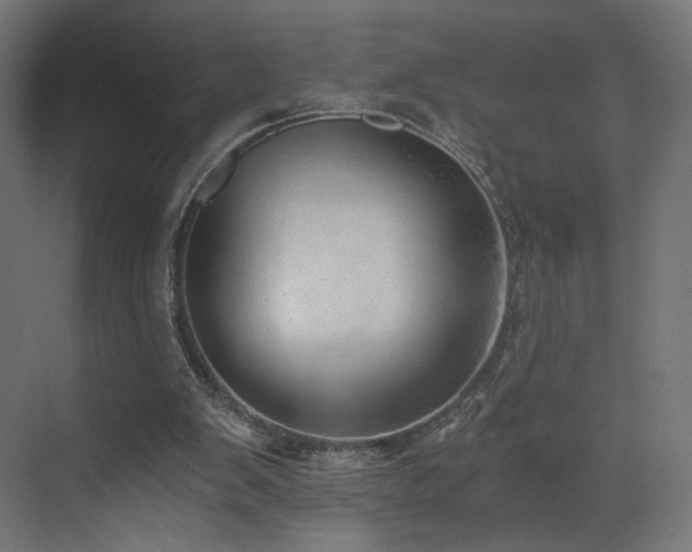 X0000072980103200607211300
