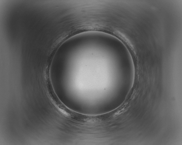 X0000072980105200607211300