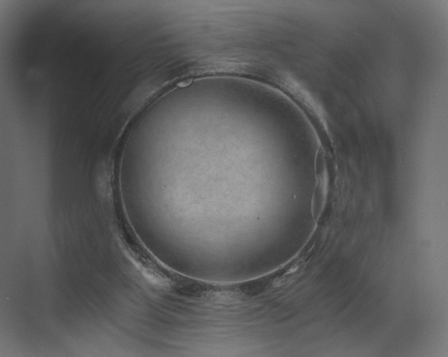 X0000072980107200607211259