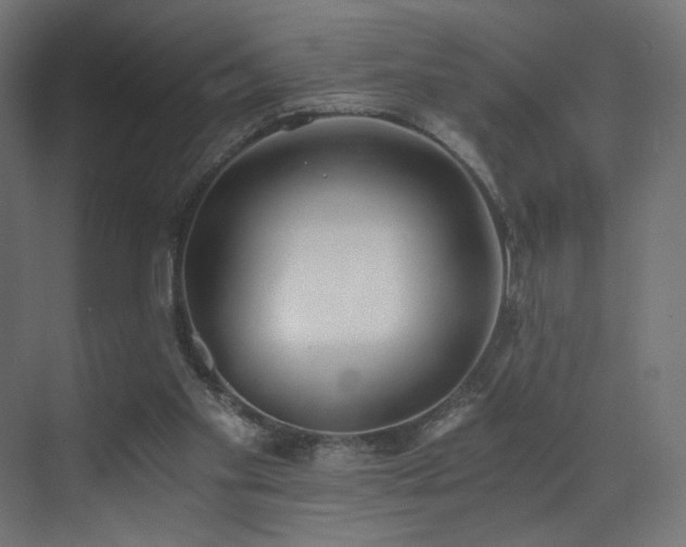 X0000072980109200607211259