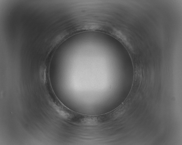 X0000072980110200607211259
