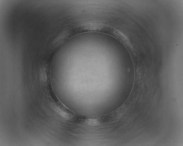X0000072980114200607211259