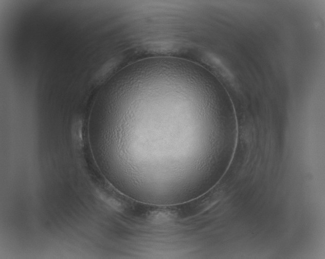 X0000072980115200607211259