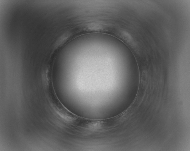 X0000072980116200607211259