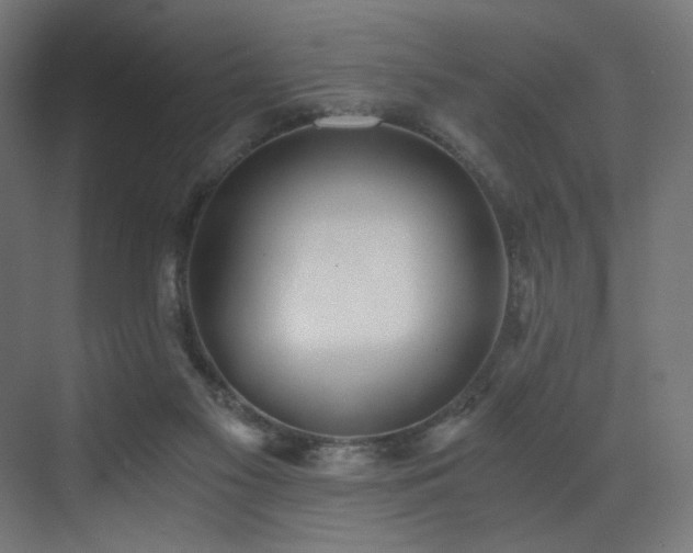 X0000072980117200607211259