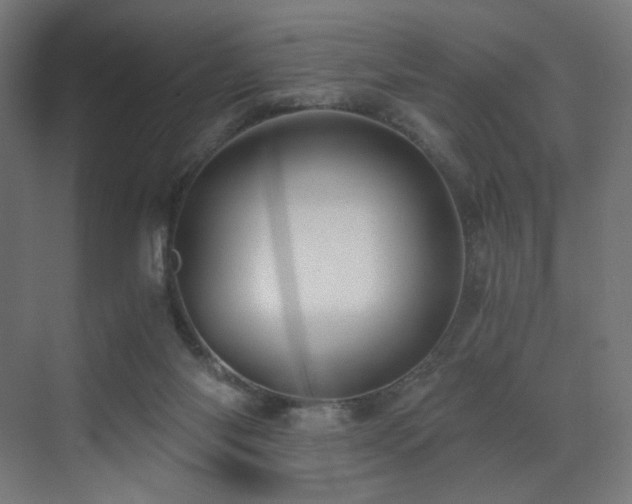 X0000072980118200607211259