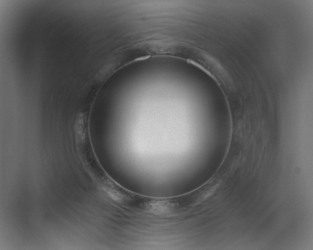 X0000072980121200607211259