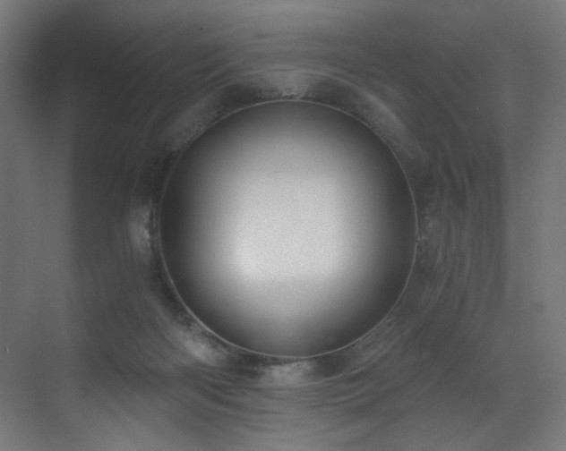 X0000072980122200607211259