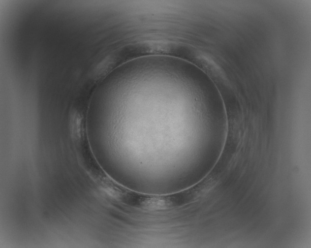 X0000072980123200607211259