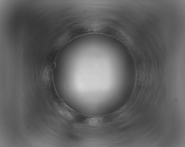 X0000072980126200607211259