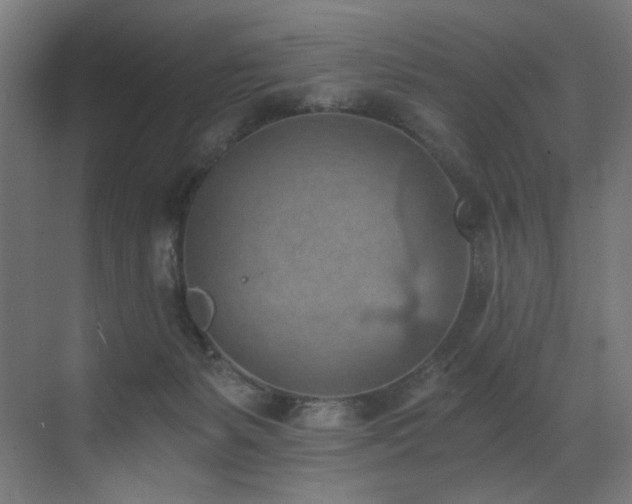 X0000072980127200607211259