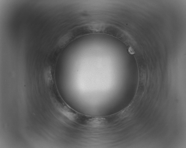 X0000072980128200607211259